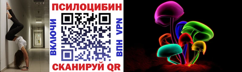 цены omg ссылки Псилоцибиновые грибы мицелий Реутов